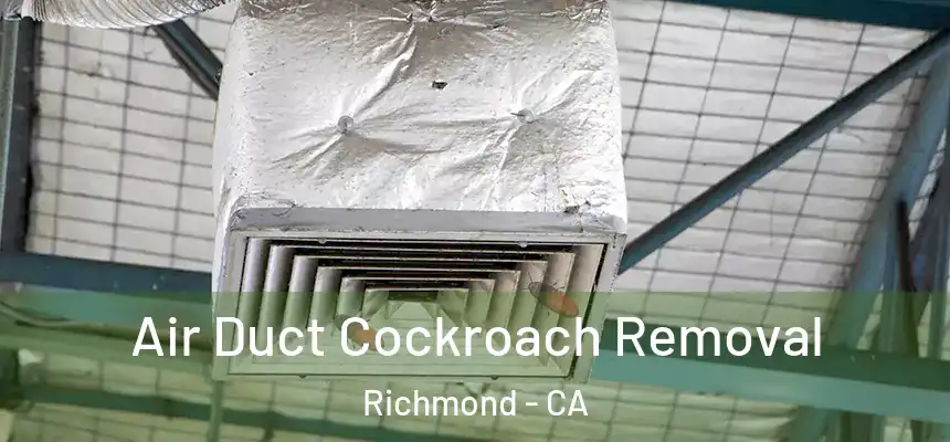  Air Duct Cockroach Removal Richmond - CA