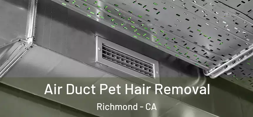 Air Duct Pet Hair Removal Richmond - CA