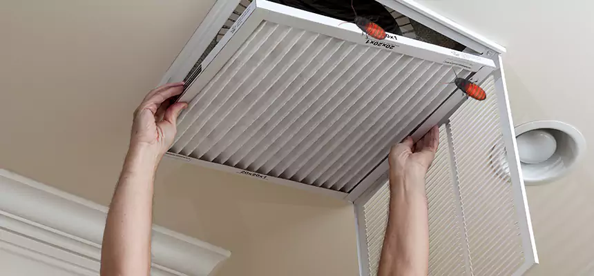 Preventive Cockroach-Proofing for Ducts in Richmond