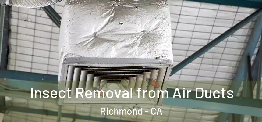 Insect Removal from Air Ducts Richmond - CA