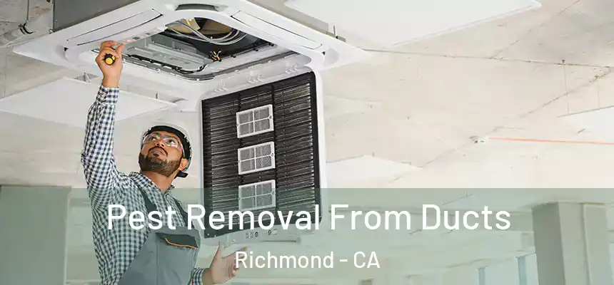Pest Removal From Ducts Richmond - CA