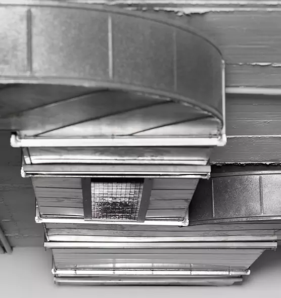 Professional Air Duct Pet Hair Removal in Richmond, CA