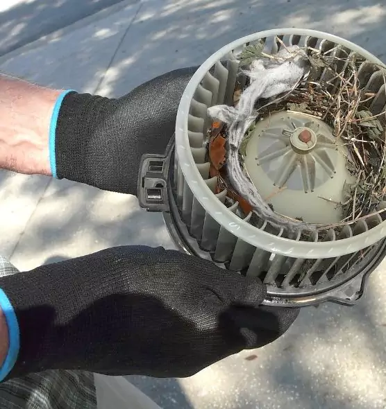 About Air Duct Rat Removal in Richmond, CA